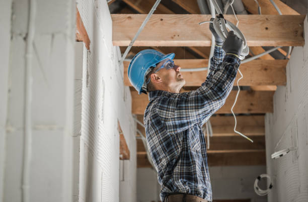 Best Emergency Electrical Repair  in Truman, MN