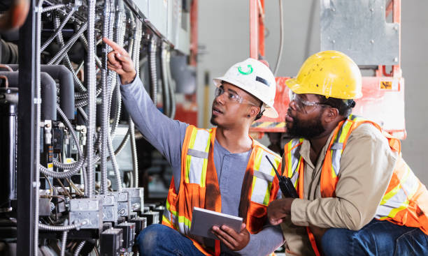 Best Affordable Electrician  in Truman, MN