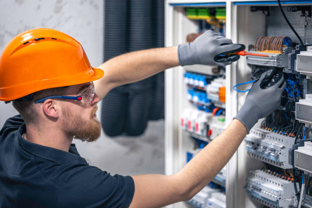 Best Licensed Electrician  in Truman, MN