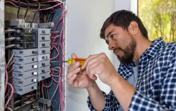 Best Home Electrical Repair  in Truman, MN